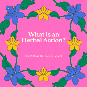 What is an Herbal Action?