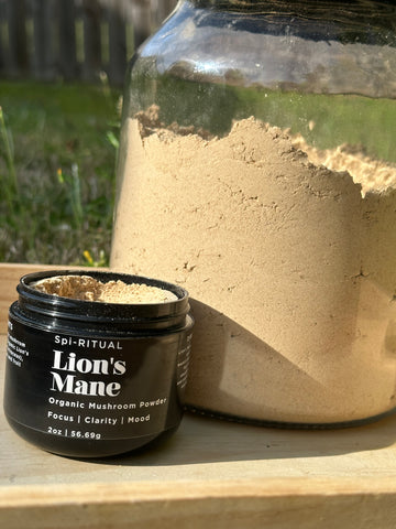 Organic Lion’s Mane Mushroom Powder